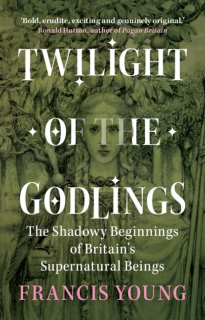 Twilight of the Godlings, Francis (Independent scholar) Young - Gebonden - 9781009330367