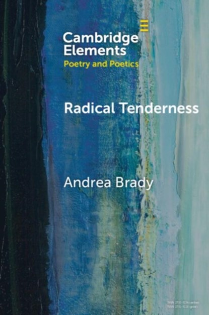 Radical Tenderness, Andrea (Queen Mary University of London) Brady - Paperback - 9781009393447