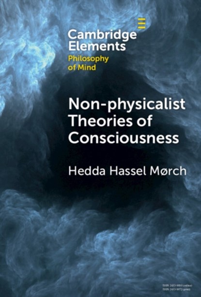 Non-physicalist Theories of Consciousness, Hedda Hassel (Inland Norway University of Applied Sciences) Mørch - Gebonden - 9781009462273