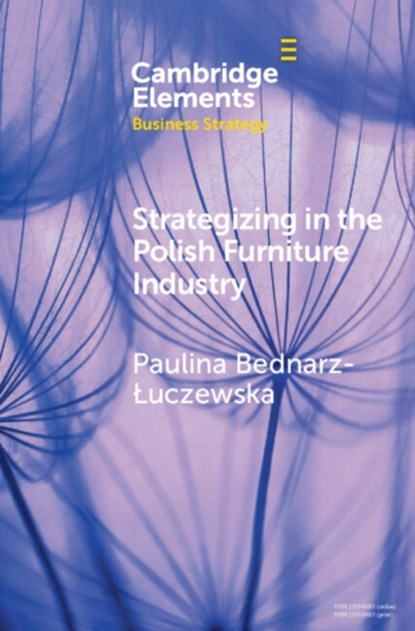 Strategizing in the Polish Furniture Industry, PAULINA (UNIWERSYTET WARSZAWSKI,  Poland) Bednarz-Luczewska - Gebonden - 9781009479400