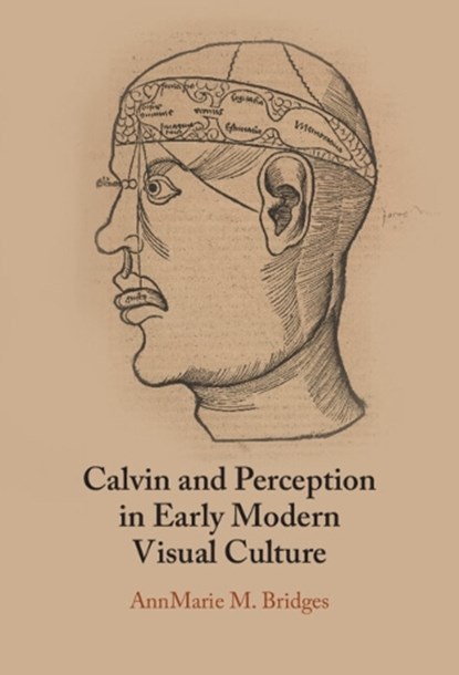 Calvin and Perception in Early Modern Visual Culture, AnnMarie M. (Harvard Divinity School) Bridges - Gebonden - 9781009562041