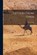 Letters From Syria, STARK,  Freya - Paperback - 9781015584983