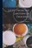 Light From the Lantern of Diogenes, Diogenes Diogenes - Paperback - 9781015872486