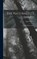 The Naturalist's Library, James Duncan - Gebonden - 9781018216171