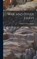 War, and Other Essays, William Graham Sumner - Gebonden - 9781018313047