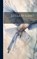 Lullaby-Land, Eugene Field - Gebonden - 9781020058387