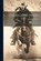 The Sagebrusher, Emerson Hough - Paperback - 9781022058880