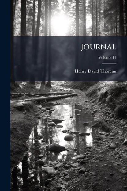 Thoreau, H: Journal, Henry David Thoreau - Paperback - 9781024536294