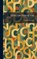 Lexicon Syriacum, Carl Brockelmann - Gebonden - 9781025797595