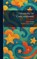 Treasure of Carcassonne, Albert Robida ; Frederic Taber Cooper - Gebonden - 9781026046760