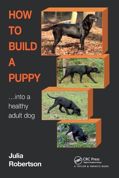How to Build a Puppy, Julia (Galen Myotherapy Robertson - Paperback - 9781032215204