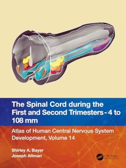 The Spinal Cord during the First and Early Second Trimesters 4- to 108-mm Crown-Rump Lengths, Shirley A. Bayer ; Joseph Altman - Paperback - 9781032229041