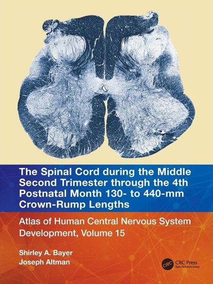 The Spinal Cord during the Middle Second Trimester through the 4th Postnatal Month 130- to 440-mm Crown-Rump Lengths, Shirley A. Bayer ; Joseph Altman - Paperback - 9781032229102