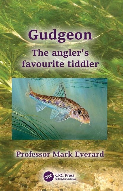Gudgeon, Mark (UWE Bristol) Everard - Paperback - 9781032317274