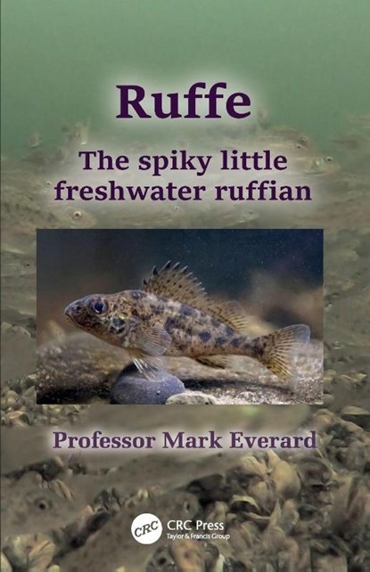 Ruffe, Mark (UWE Bristol) Everard - Paperback - 9781032317311