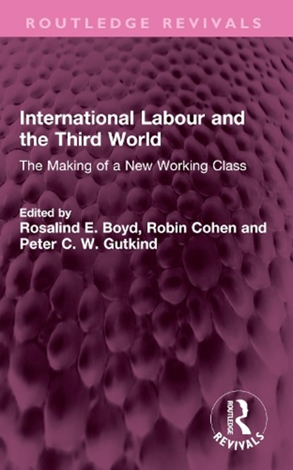 International Labour and the Third World, Rosalind E. Boyd ; Robin Cohen ; Peter C. W. Gutkind - Paperback - 9781032594422