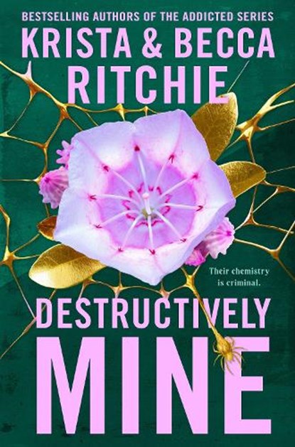 Destructively Mine, Krista Ritchie ; Becca Ritchie - Paperback - 9781035025114