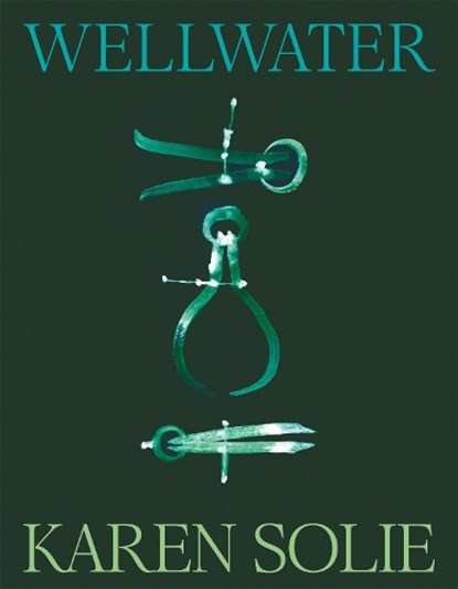 Wellwater, Karen Solie - Paperback - 9781035048182