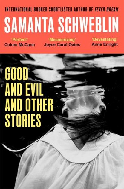 Good and Evil and Other Stories, Samanta Schweblin - Paperback - 9781035050185