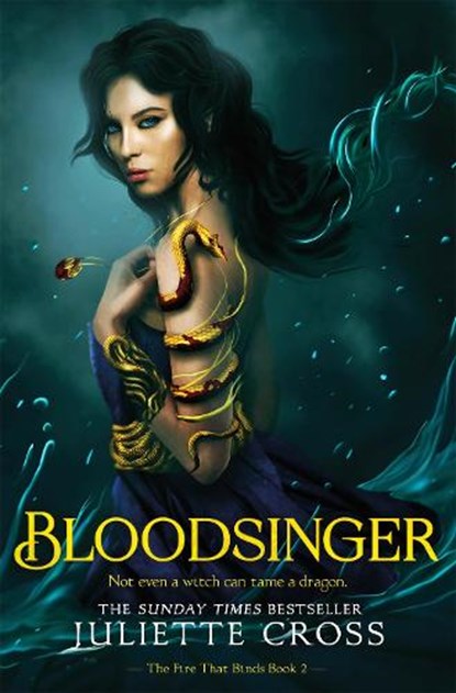 Bloodsinger, Juliette Cross - Gebonden - 9781035052493