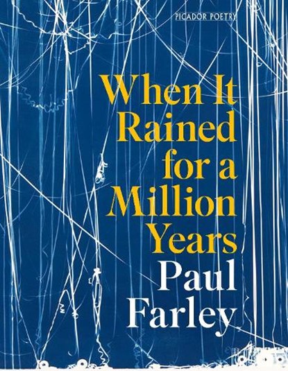 When It Rained for a Million Years, Paul Farley - Paperback - 9781035068678