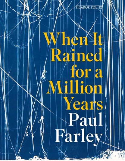 When It Rained for a Million Years, Paul Farley - Paperback - 9781035068678