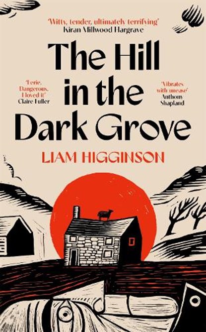 The Hill in the Dark Grove, Liam Higginson - Paperback - 9781035069439