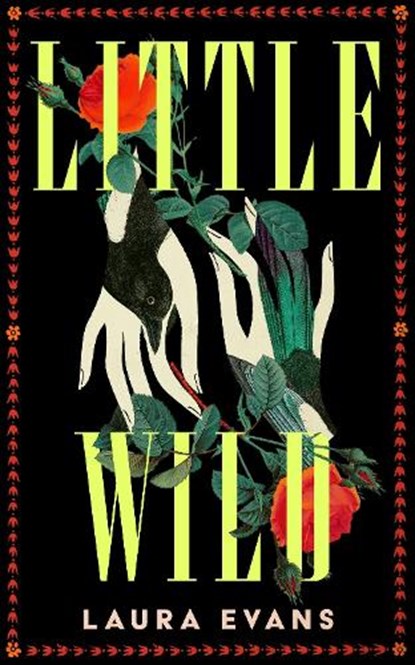 Little Wild, Laura Evans - Paperback - 9781035073078