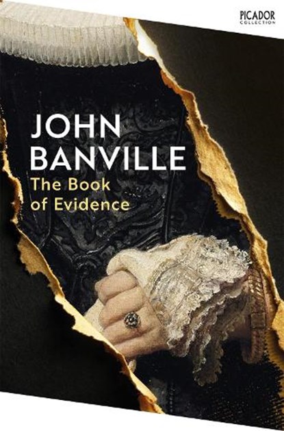 The Book of Evidence, John Banville - Paperback - 9781035076796