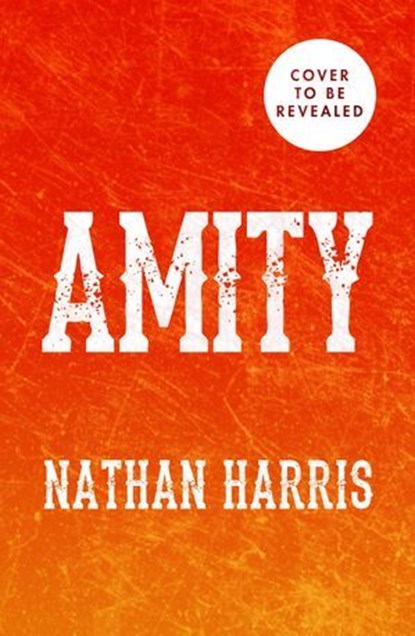 Amity, Nathan Harris - Ebook - 9781035404704