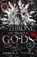 The Throne of Broken Gods, Amber V. Nicole - Paperback - 9781035414536