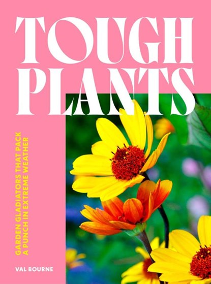 Tough Plants, Val Bourne - Gebonden - 9781035417599