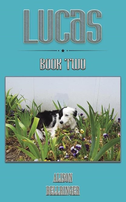 Lucas, Alison Bellringer - Paperback - 9781035873722