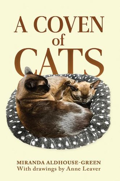 A Coven of Cats, Miranda Aldhouse-Green - Paperback - 9781035876341