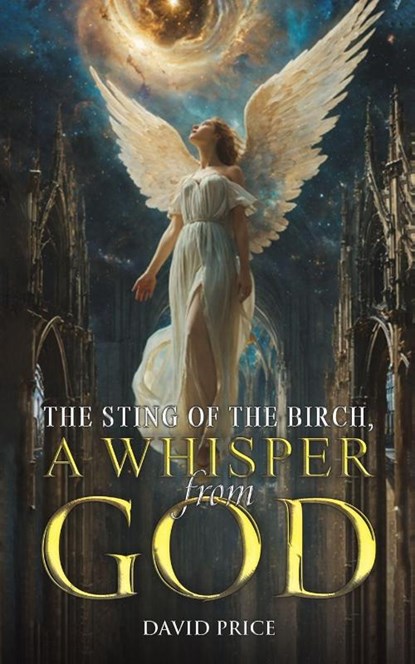 The Sting of the Birch, a Whisper from God, David Price - Paperback - 9781035878307