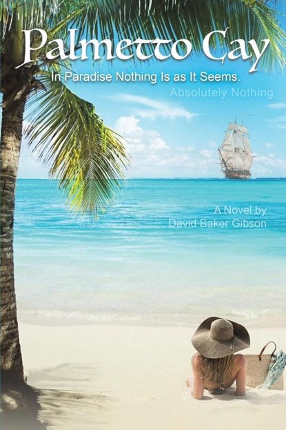 Palmetto Cay, David Baker Gibson - Paperback - 9781035881093