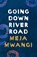 Going Down River Road, Meja Mwangi - Paperback - 9781035900787