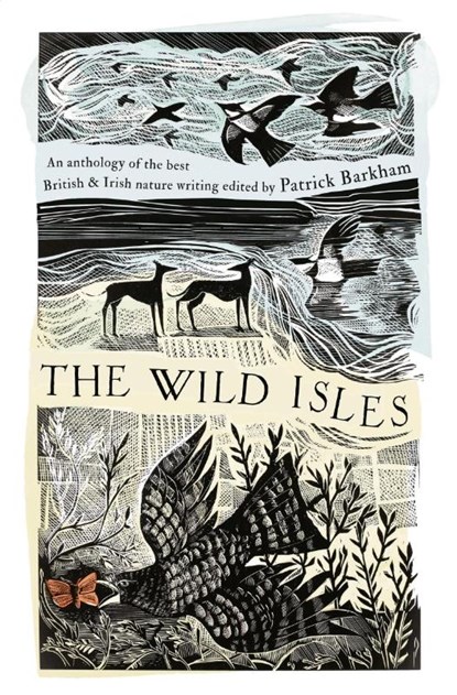 The Wild Isles, Patrick Barkham - Paperback - 9781035924929