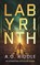 Labyrinth, A.G. Riddle - Paperback - 9781035924998