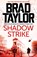Shadow Strike, Brad Taylor - Paperback - 9781035930173