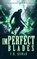 imPerfect Blades, C.N. Rowan - Paperback - 9781036710811