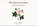 The Glen Nevis Rose, Ewen Cameron - Paperback - 9781036923181