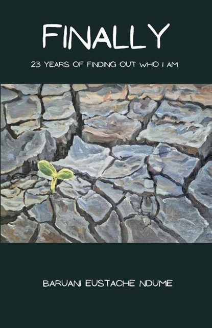 Finally, Baruani Eustache Ndume - Paperback - 9781037023712