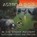 Astro & B.O.B in the Sticky Mystery, Wayne Thomson - Paperback - 9781037117008