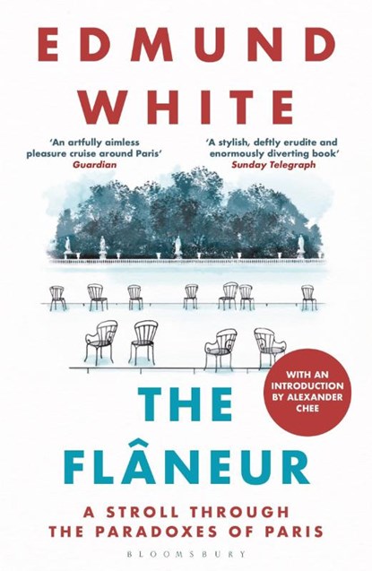 The Flaneur, Edmund White - Paperback - 9781037207891