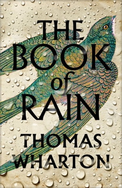 The Book of Rain, Thomas Wharton - Ebook - 9781039002449