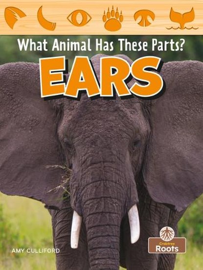 Ears, Amy Culliford - Paperback - 9781039646285