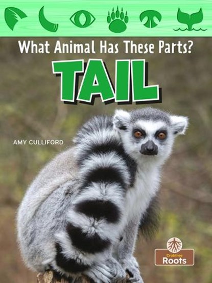 Tail, Amy Culliford - Paperback - 9781039646308