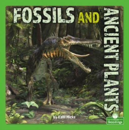 Fossils and Ancient Plants, Kelli Hicks - Paperback - 9781039646704
