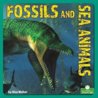 Fossils and Sea Animals, Alan Walker - Paperback - 9781039646728